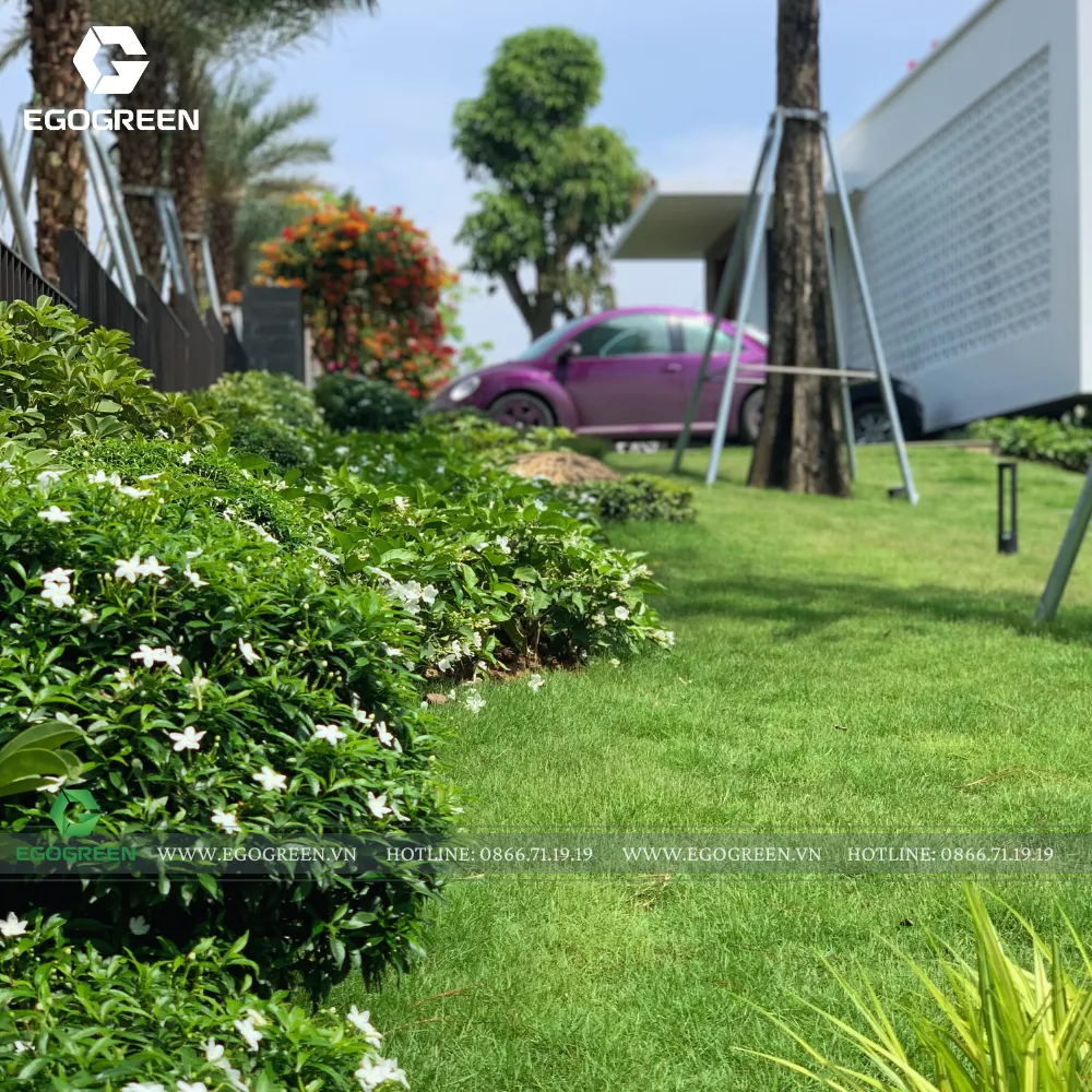 Biến sân vườn nhà mình thành khu nghỉ dưỡng "sang xịn" vừa đẹp vừa chi phí cạnh tranh, hãy để EGOGREEN lo.